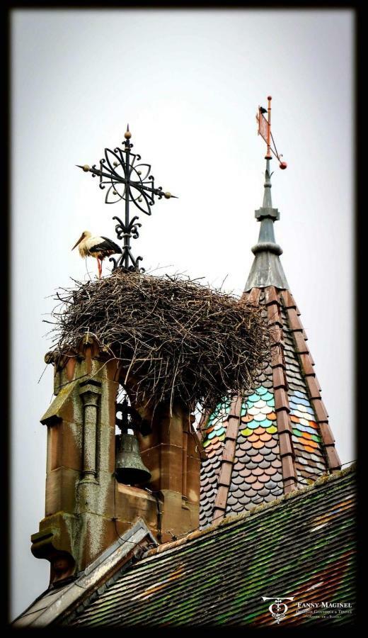 Gite Edelweiss A Eguisheim Εξωτερικό φωτογραφία