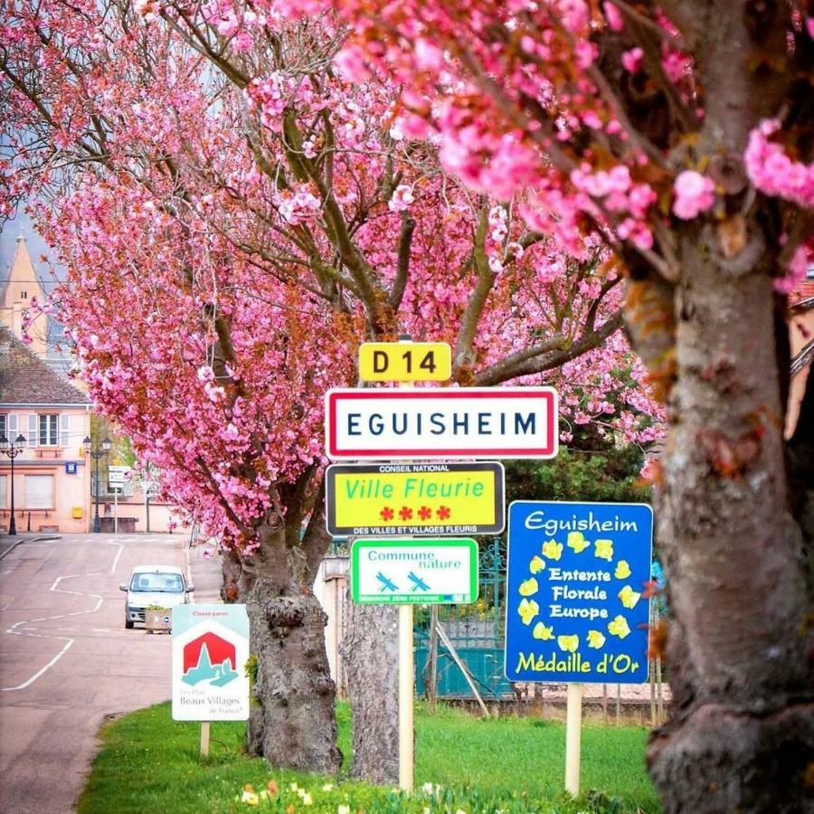 Gite Edelweiss A Eguisheim Εξωτερικό φωτογραφία