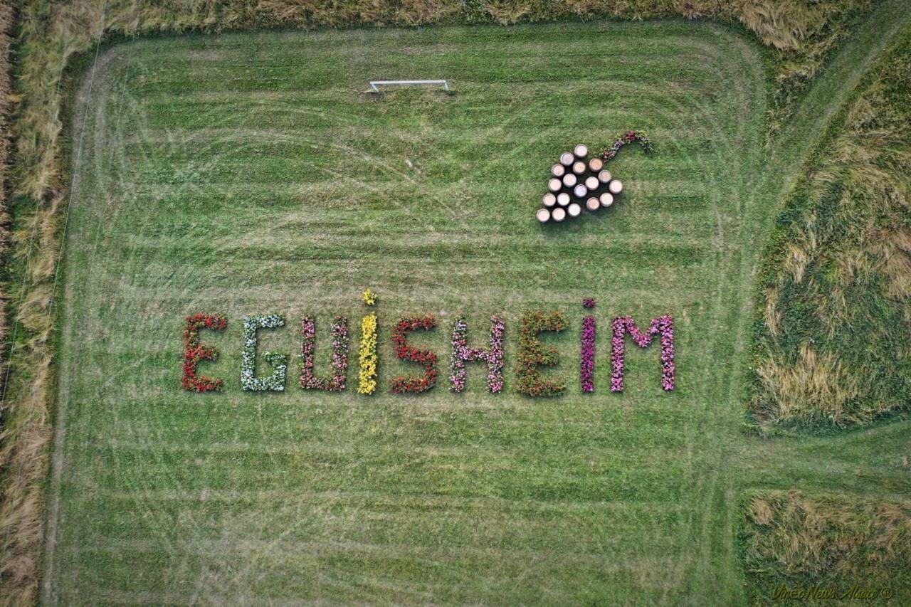 Gite Edelweiss A Eguisheim Εξωτερικό φωτογραφία